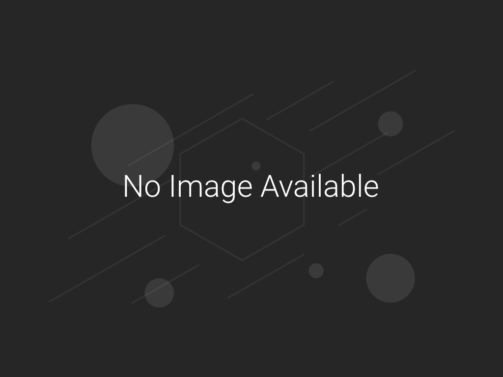 No auction image available